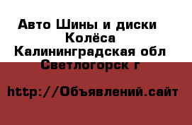 Авто Шины и диски - Колёса. Калининградская обл.,Светлогорск г.